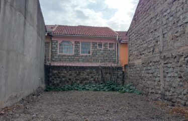 Harambee Sacco Plot