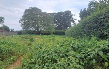 Prime Plot for Sale – Central Park Estate, Muthaiga North, Nairobi